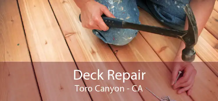 Deck Repair Toro Canyon - CA